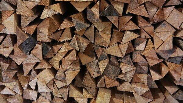    © Sputnik / Ростислав Нетисов