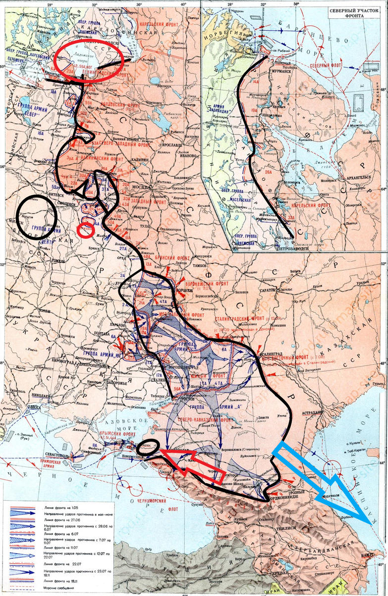 (Фото взято из открытых источников).