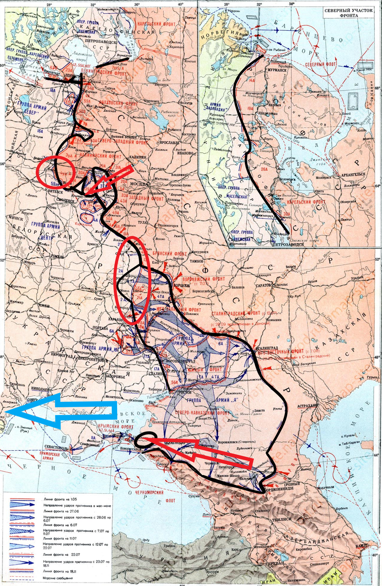 (Фото взято из открытых источников).