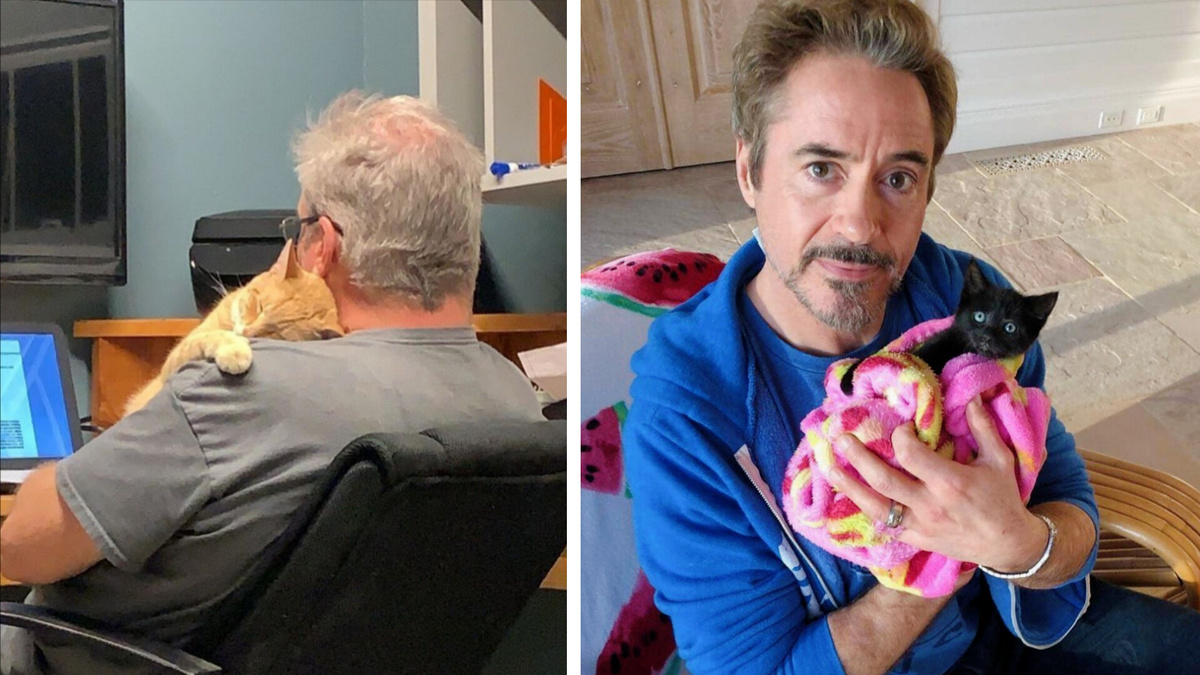 Справа: "Железный человек", слева: обычный пенсионер. Думаете, что у них общего? Любовь к кошкам! 