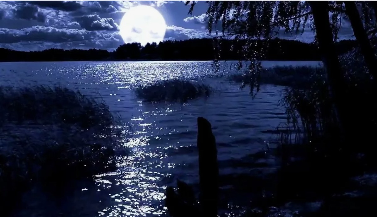 Изображение взято из свободных источников