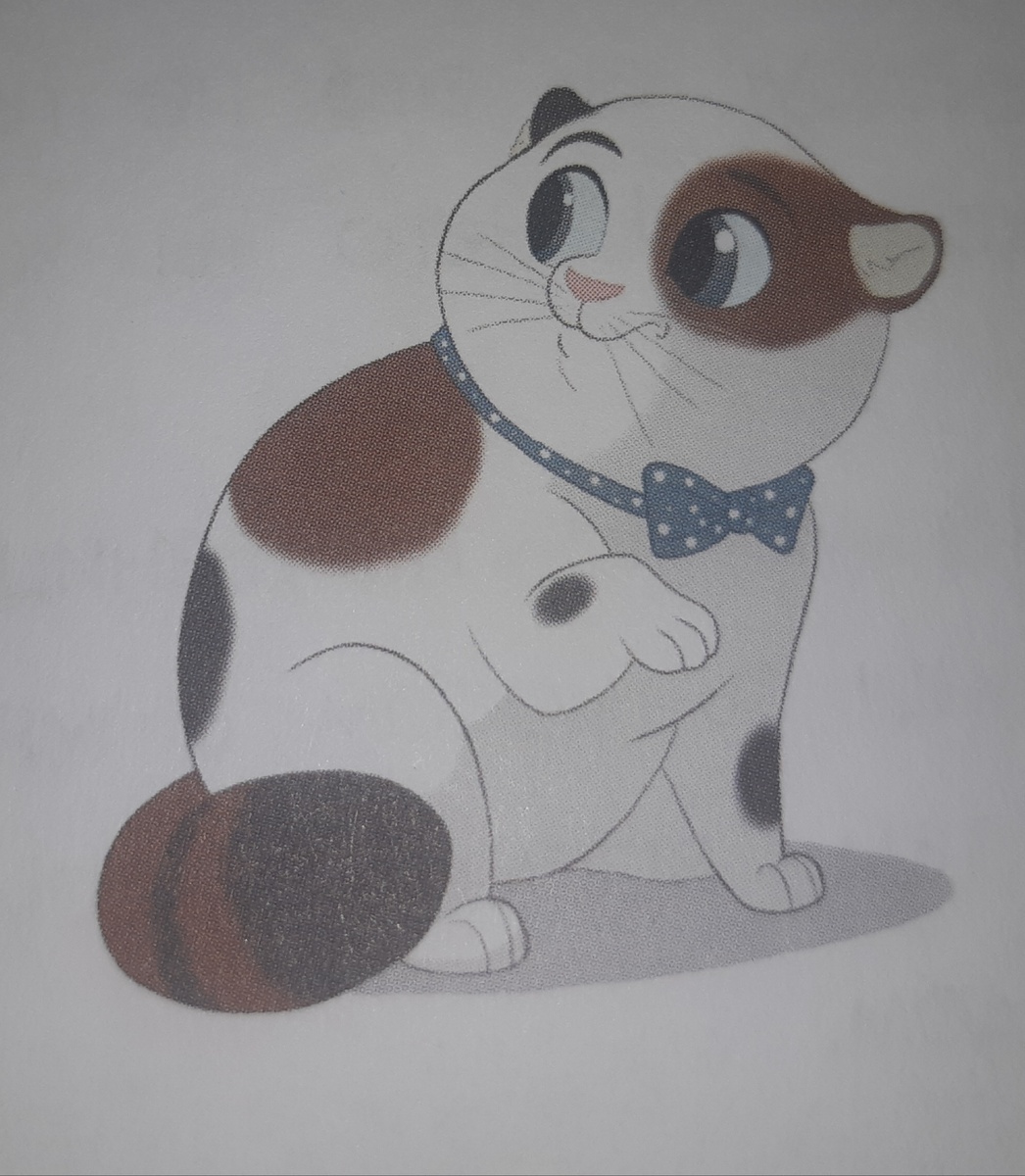 Это Ахилл. Кот который хочет всегда подремать. Он на 100% отличается от хозайки Нины Шенг. У него всегда на что то аллергия, испуг, илииии... желание подремать в постельке?..