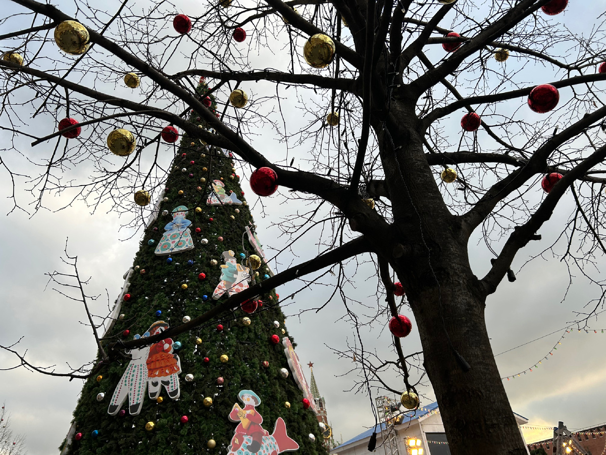 Фото автора. Елку на Красной площади уже поставили, а каток и ярмарку пока монтируют 