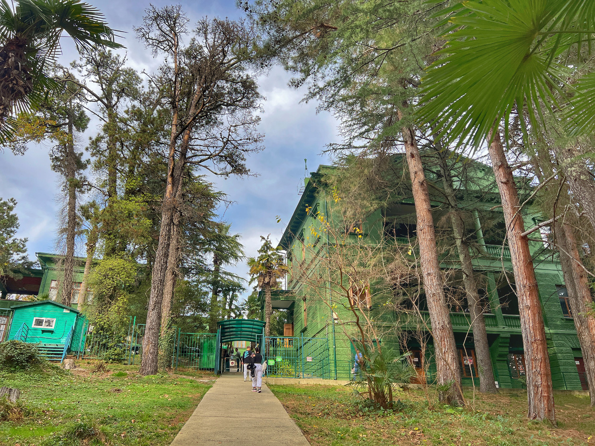 Дача Сталина. Сочи. Фото автора