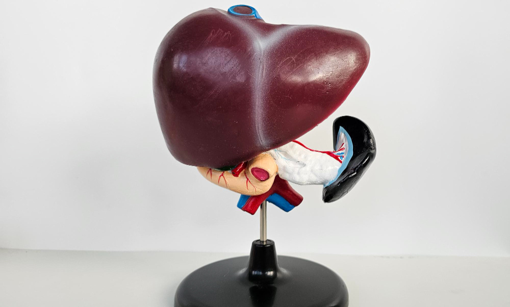 Роль печени в совместимости таблеток и спиртного. (источник изображения: freepik.com)