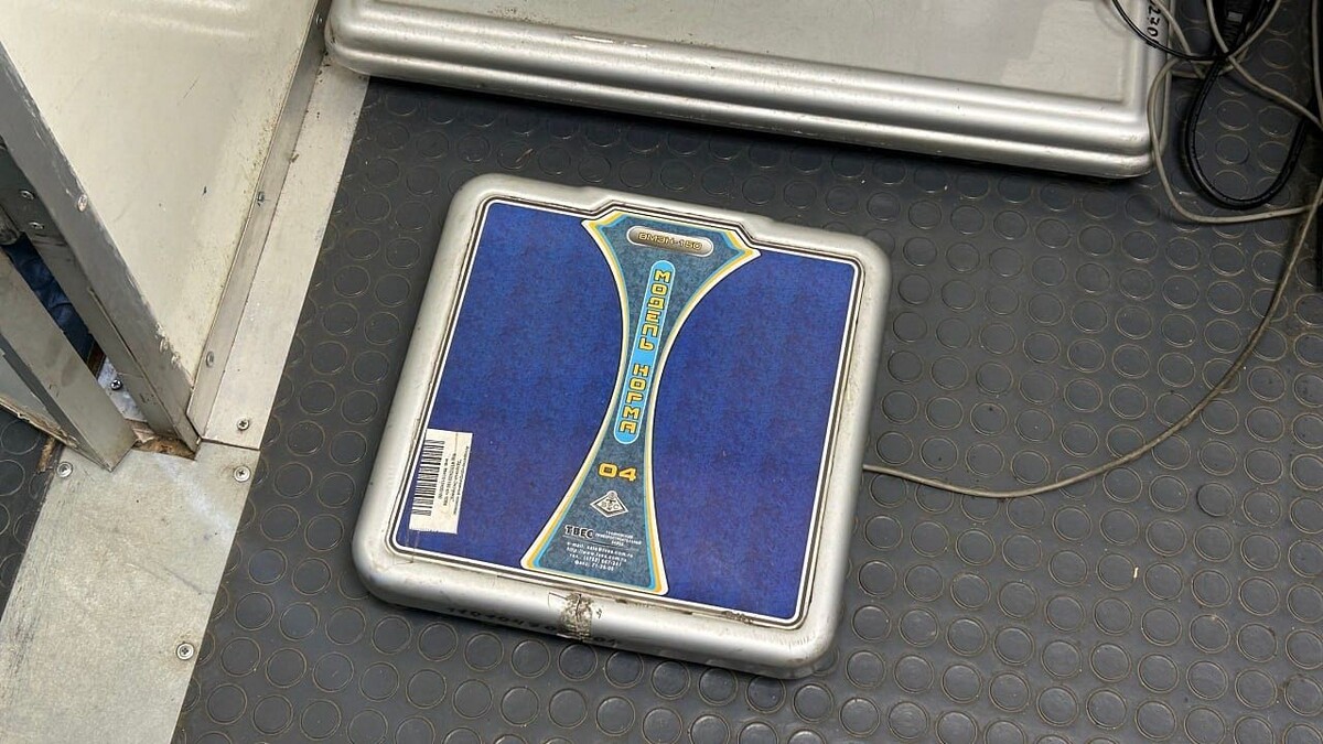    Фото: телеканал «Краснодар»