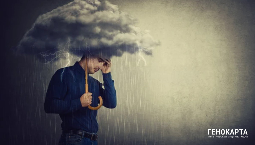 StunningArt // shutterstock.com