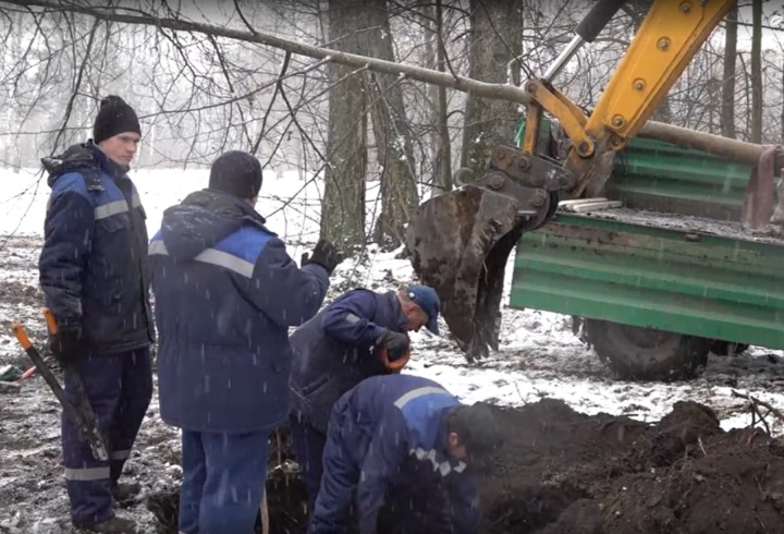 фото: скриншот видео / пресс-служба Павловского парка
