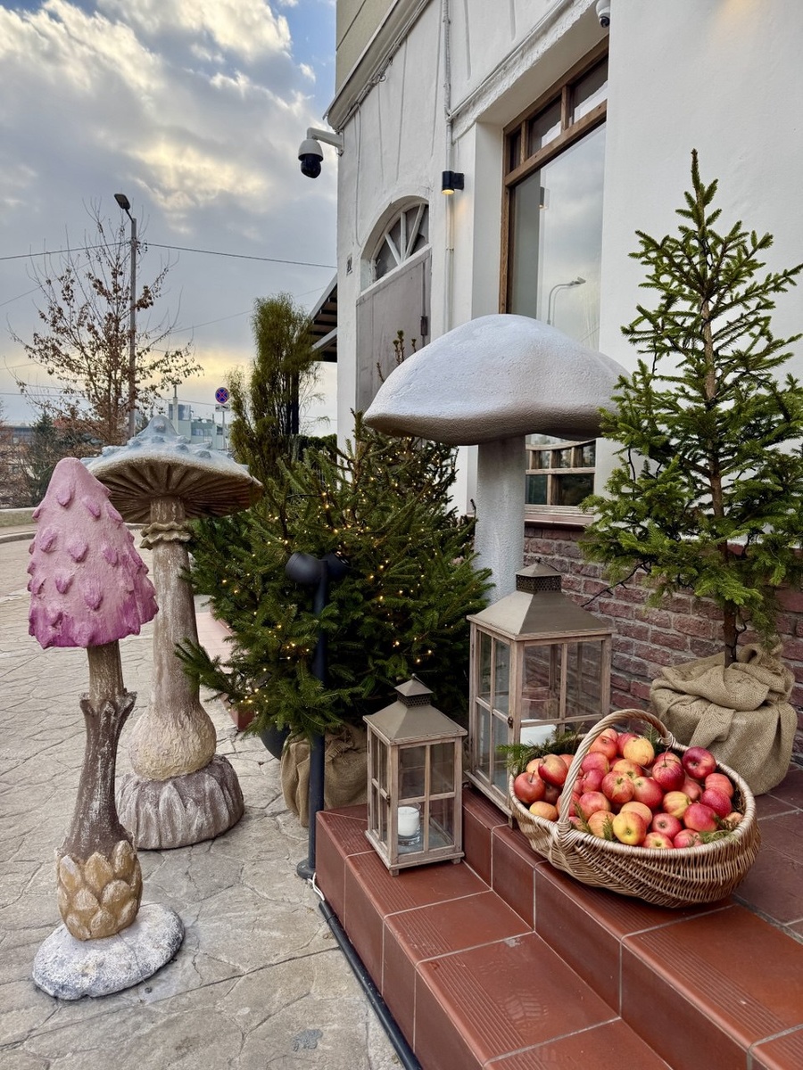  Встречаем Новый 2026 год. Магазин на улице Житомирской         22.