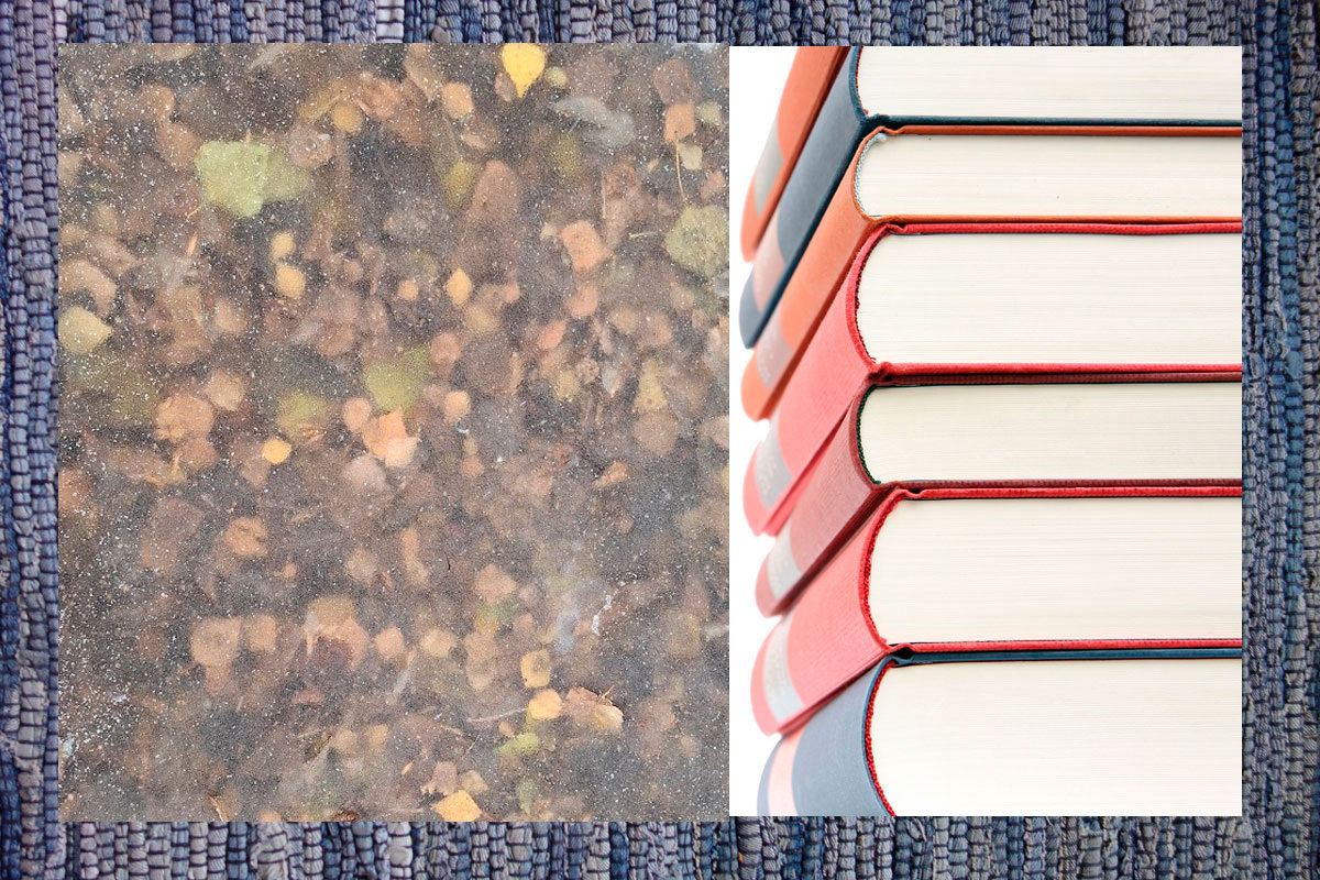 Фото сделала сама недавно. Это листья подо льдом