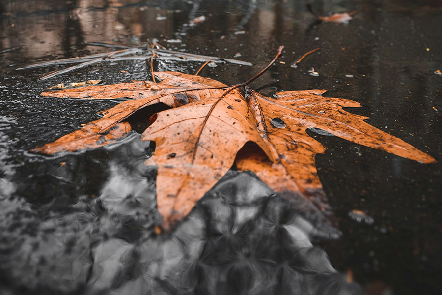    Фото: Kiarash Mansouri / Unsplash.com