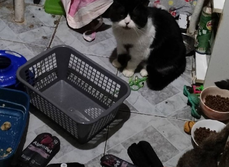 Сегодня открыли последний мешок корма со словами: «Будь что будет