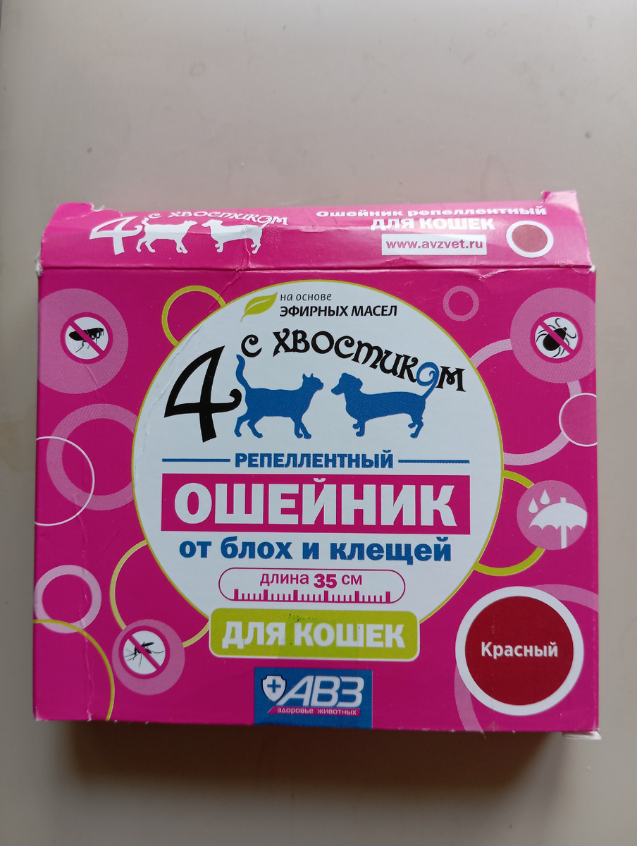 Коробка из-под ошейника  Фото Мурзилки