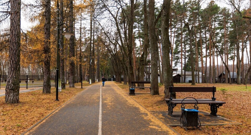    Глуховский парк в Ногинске осенью / Медиасток.рф