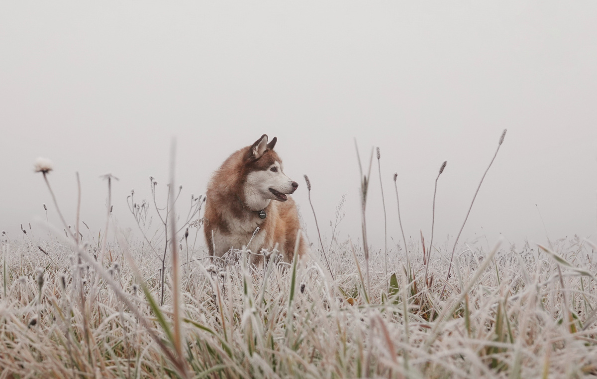 Игорь, 12 лет почти