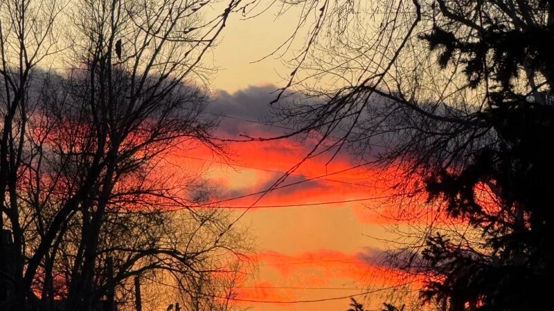     Закат в Барнауле. Александр Щепа