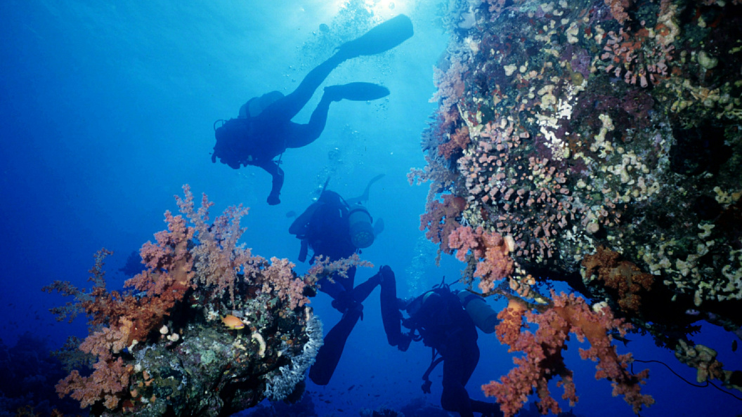    Роман Денисов/Globallookpress