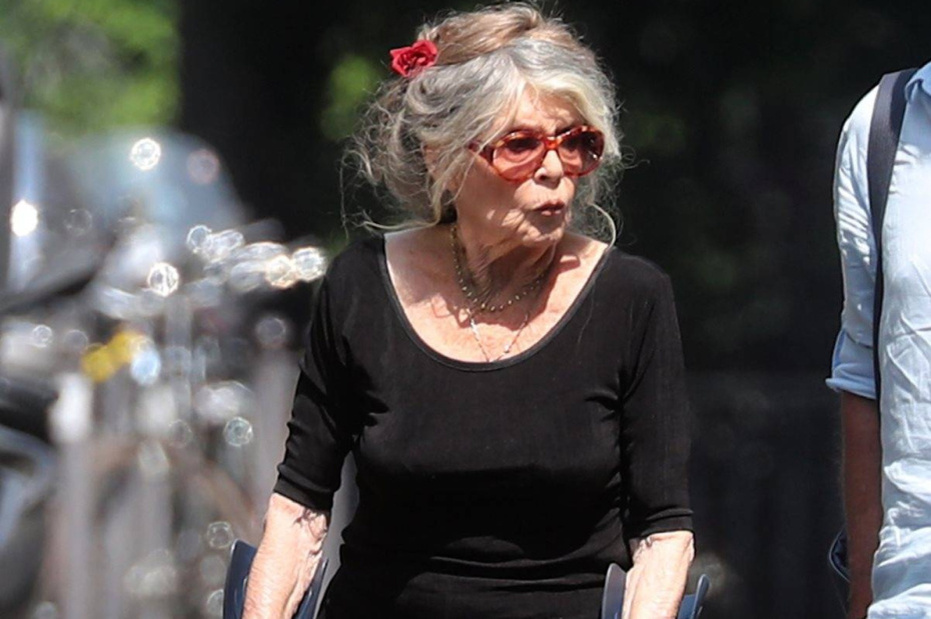    MAGO/392484/Global Look Press