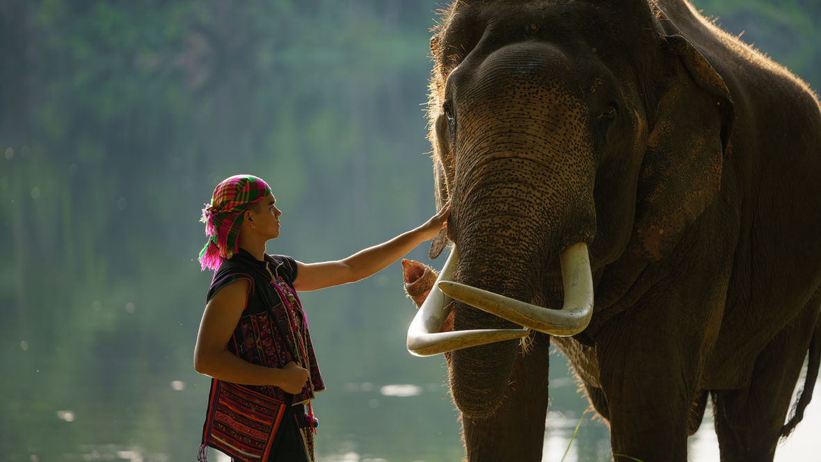    songsak chalardpongpun iStock