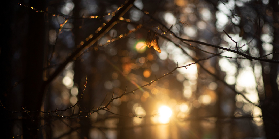 Бесценное Солнце ноября