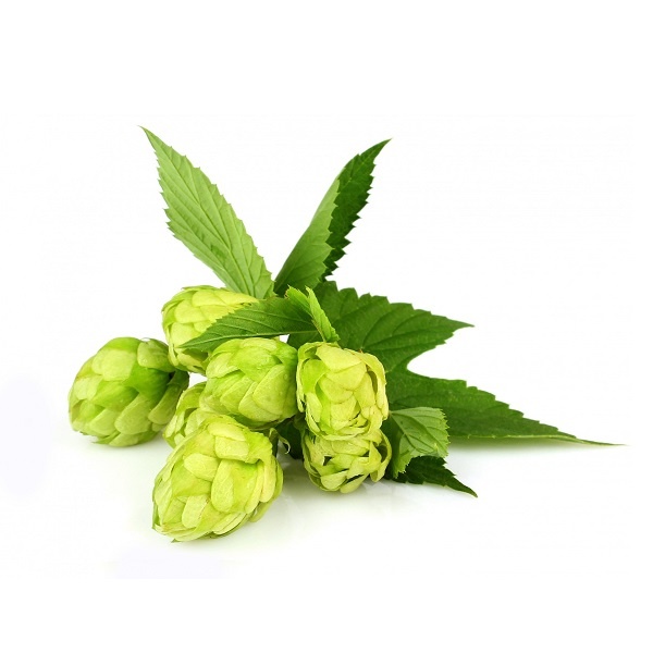 Рисунок с источника: https://100ing.ru/media/product/co2-hmel_NpVw7M3.jpg