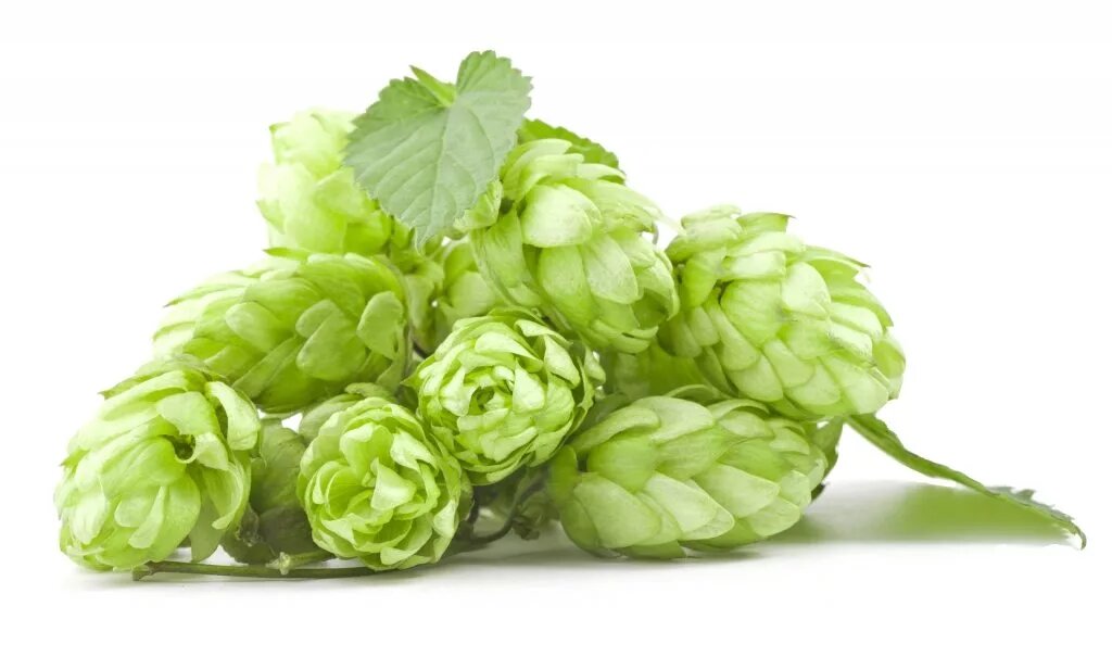 Картинка с источника: https://avatars.mds.yandex.net/i?id=4b286ada5a7813261fb9db4b237a07e6_l-5233046-images-thumbs&ref=rim&n=13&w=1024&h=616