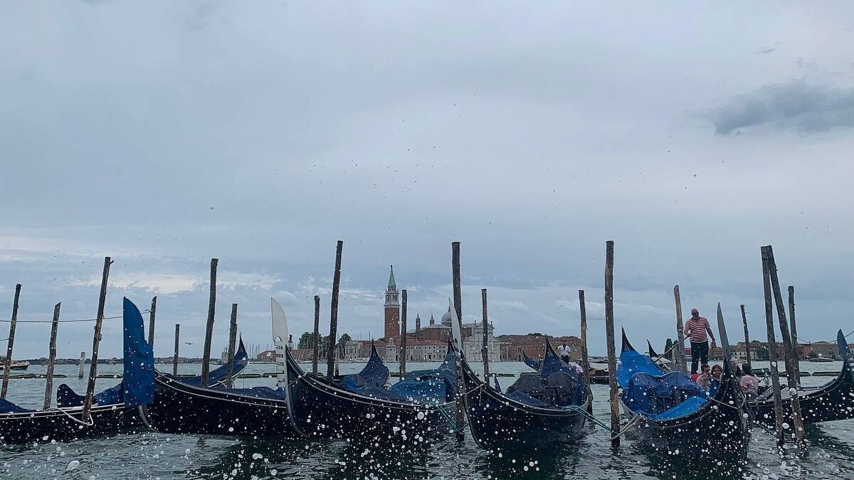    Фото: телеканал «Краснодар»