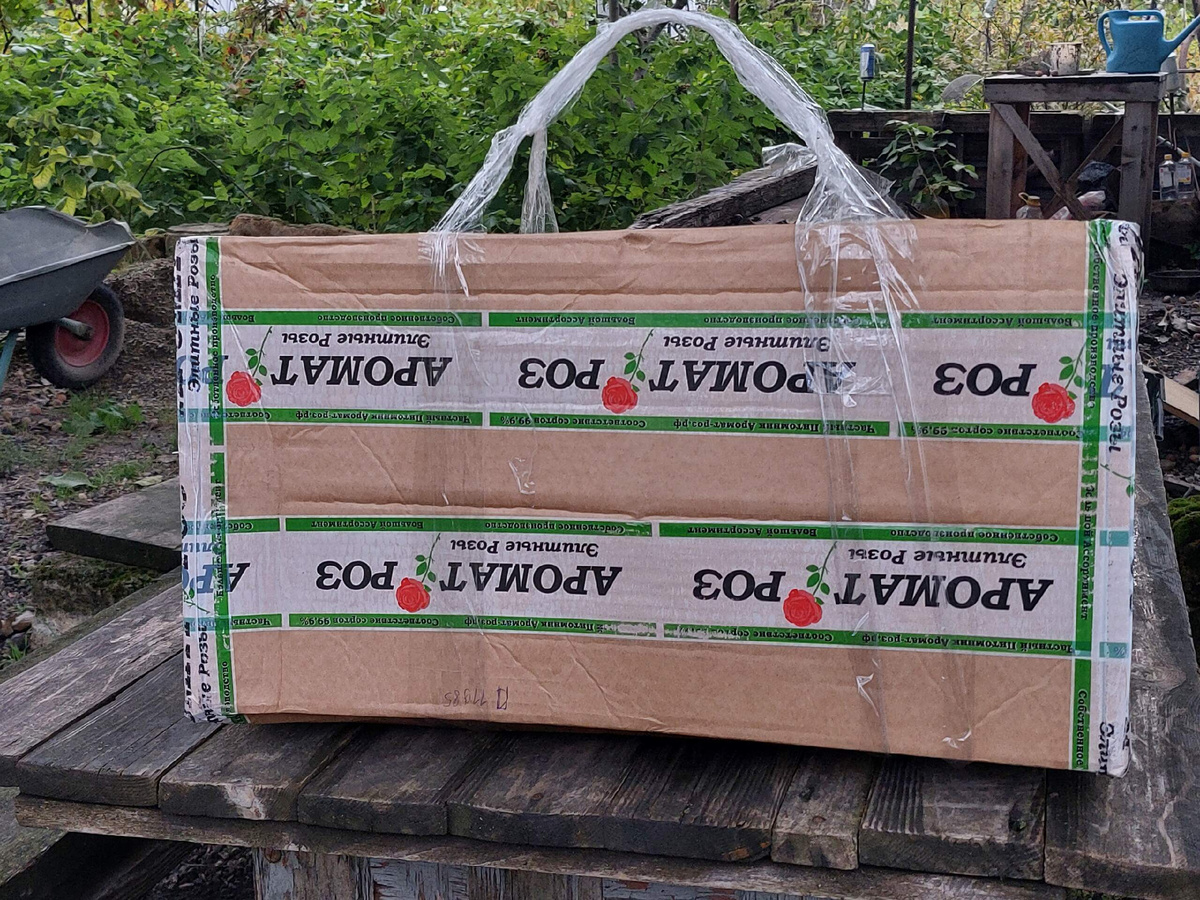 только что с почтового отделения .