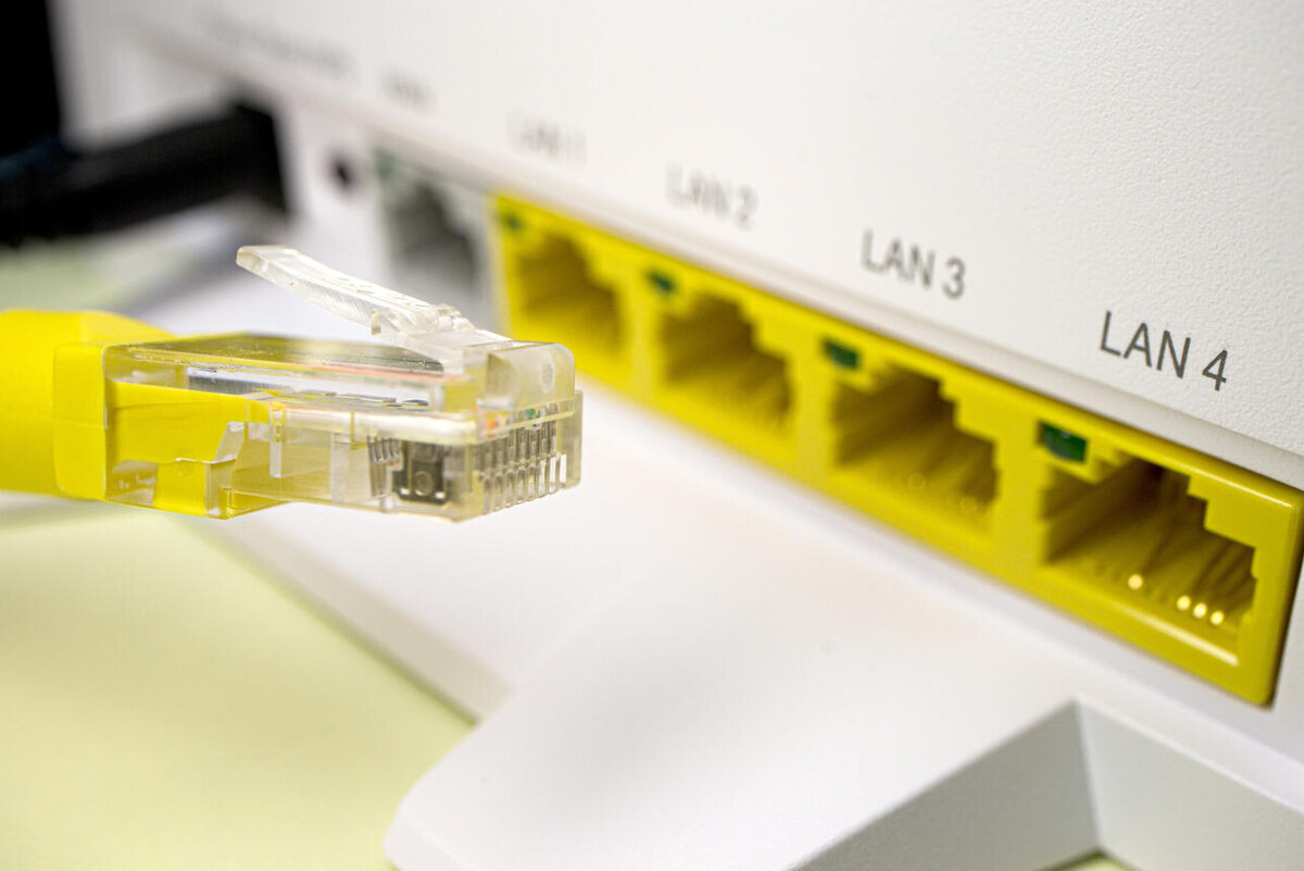    Роутер 123RF/legion-media.ru