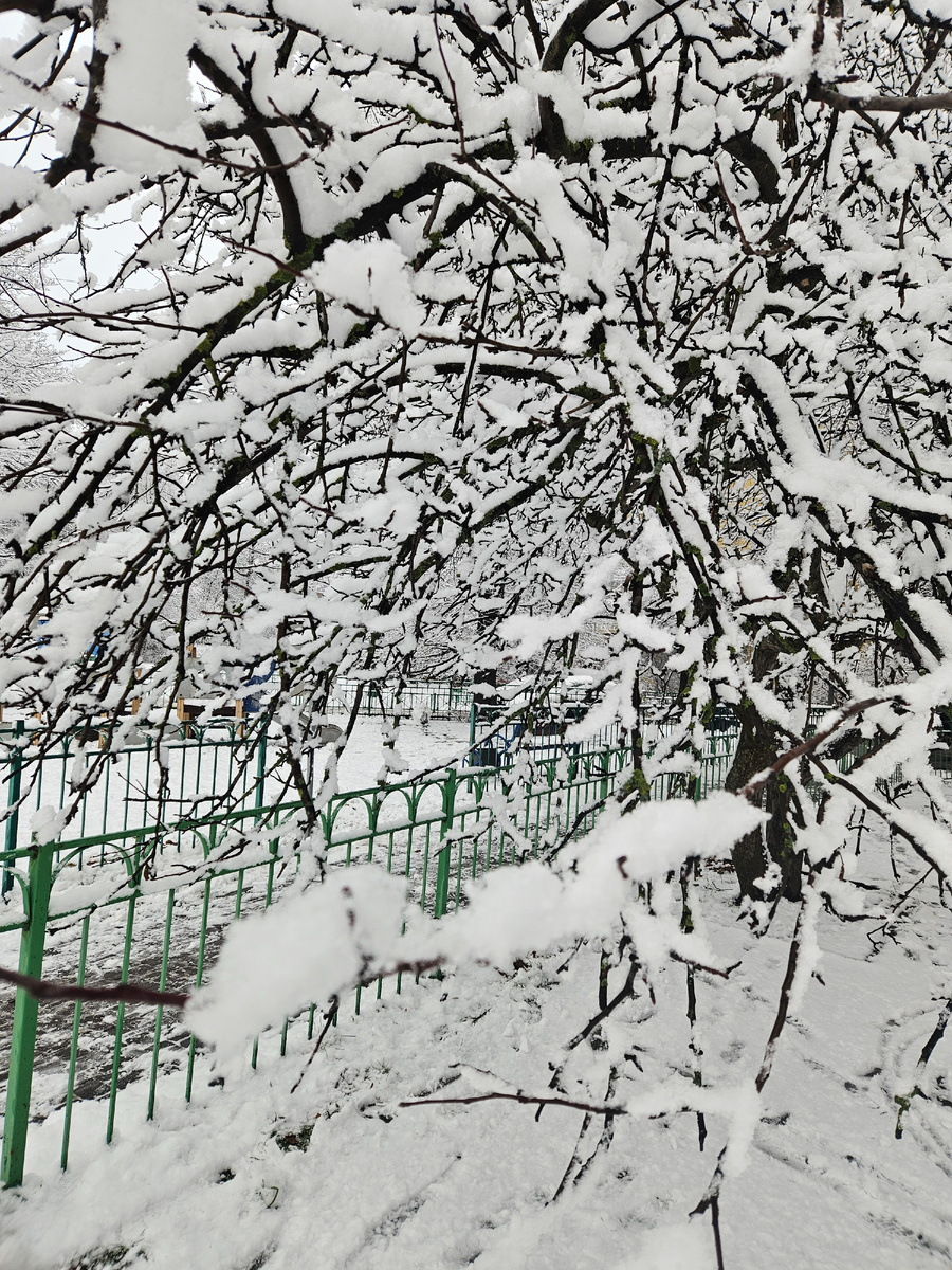 Чудесная погода.