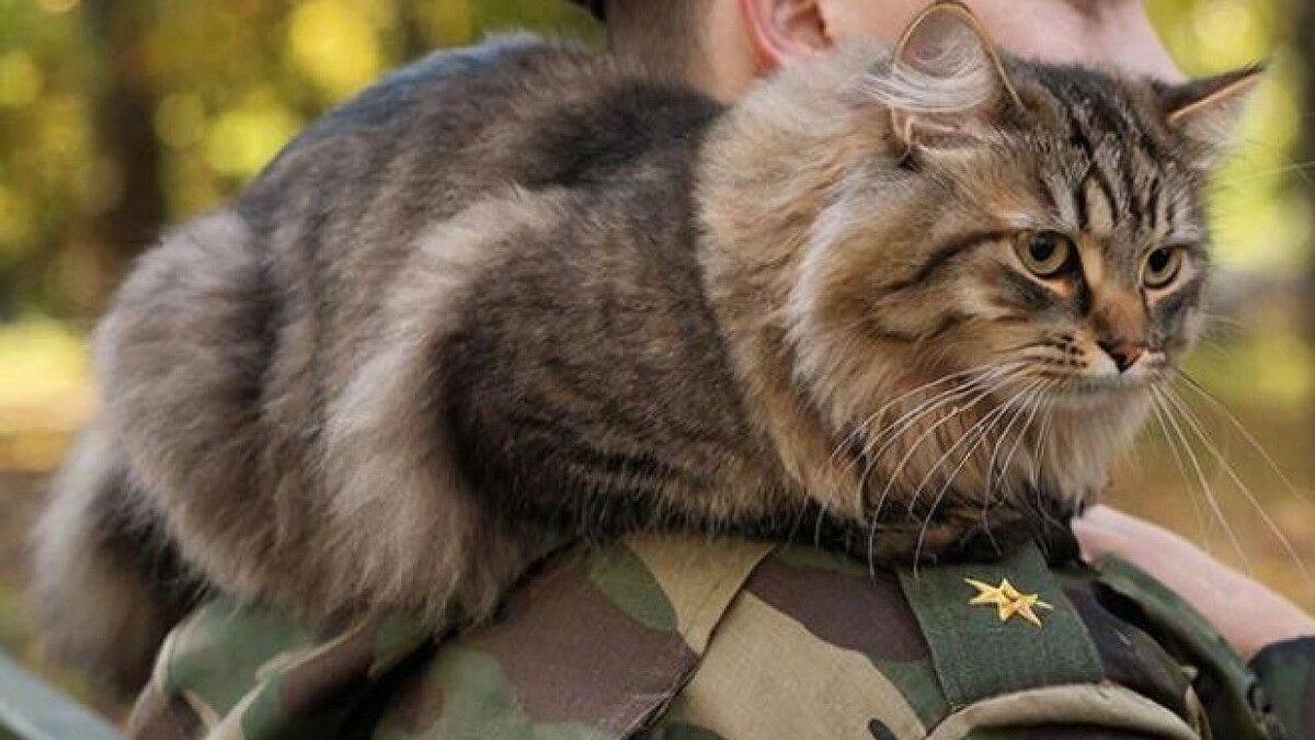    Изображение создано при помощи ИИ.