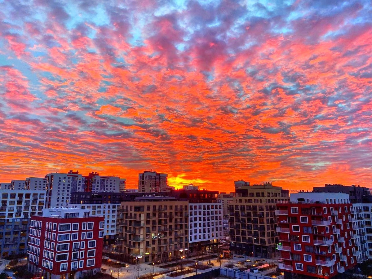 Фото из домового чата.