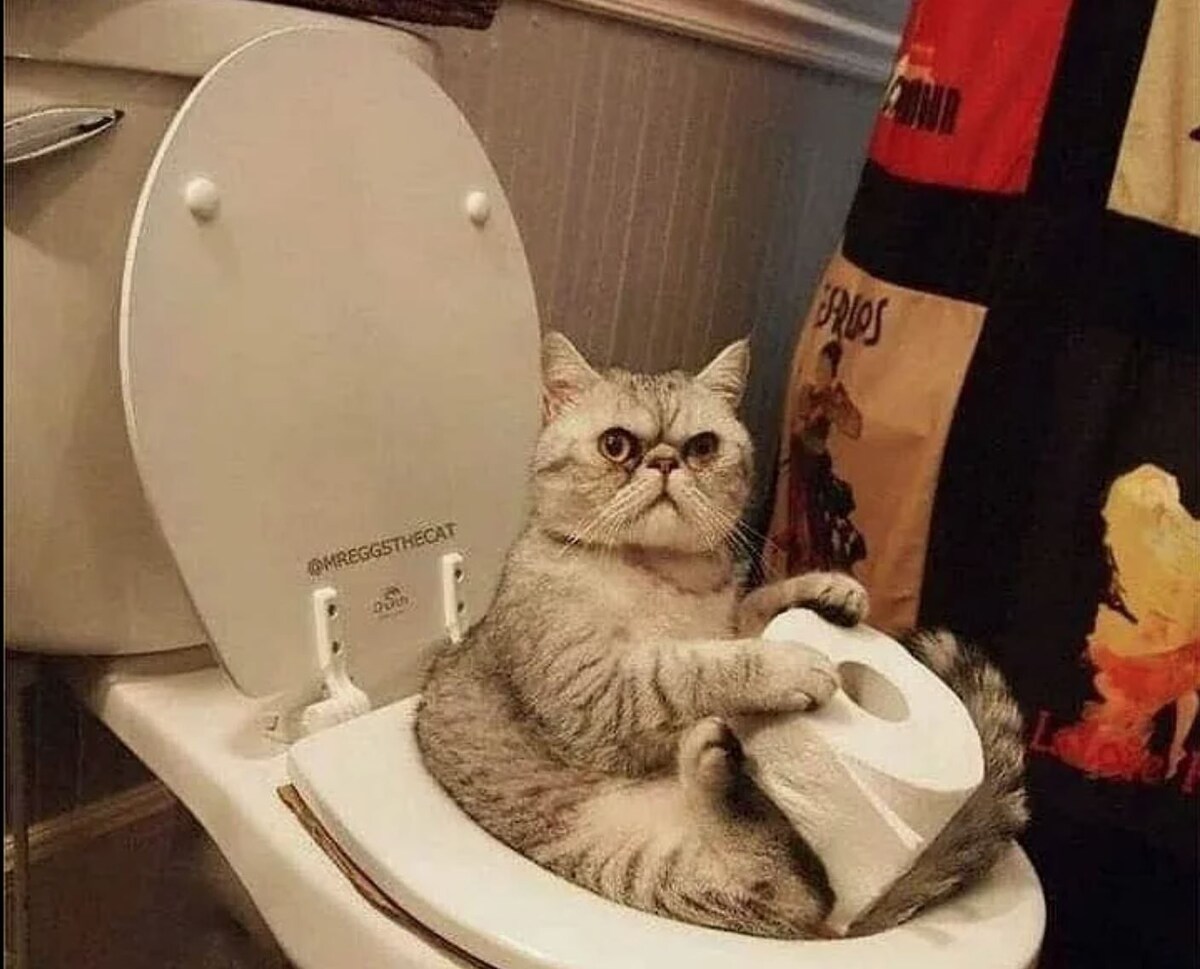 источник Яндекс-картинки