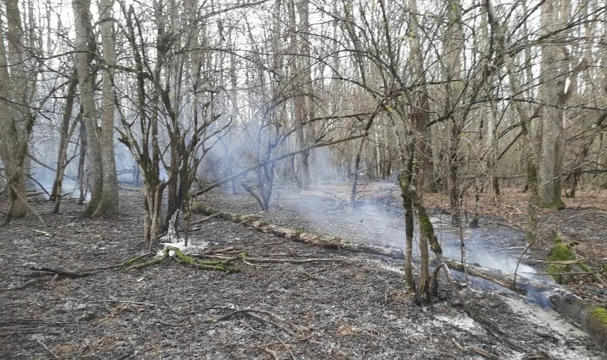    Фото t.me/krd_klpc