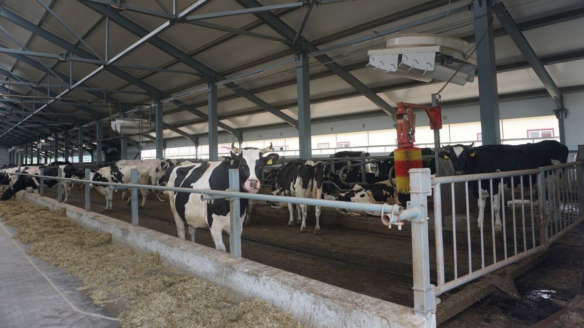    Фото предоставлено Министерством агропромышленного комплекса Пермского края