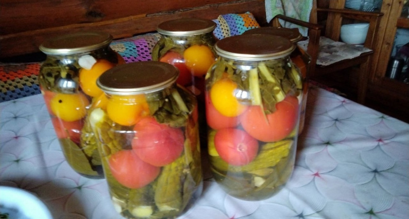    Квашеная капуста — все? Готовлю сочные помидоры в ведре с горчицей - и зимой только успеваю доставать банки