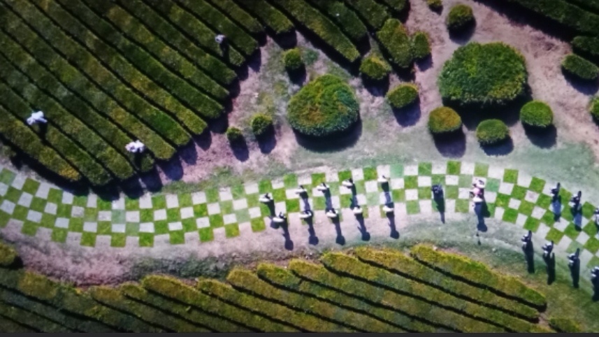 Кадр из фильма «Алиса в стране чудес», 2025 год, режиссер Юрий Хмельницкий