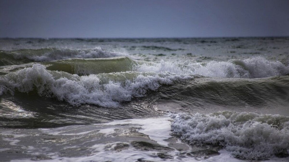    Фото: телеканал «Краснодар»