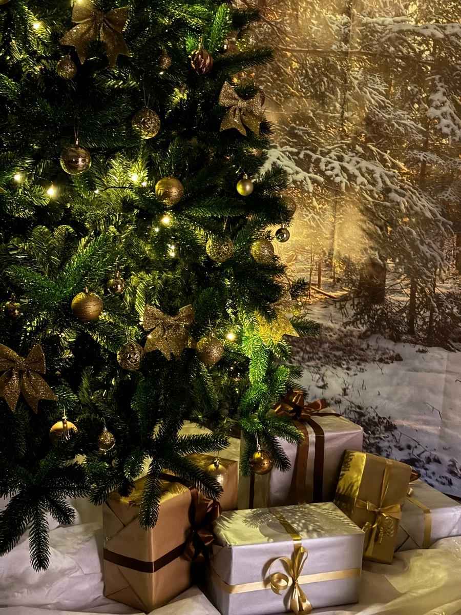 Фото со страницы ВК https://vk.com/reznoiipalisad