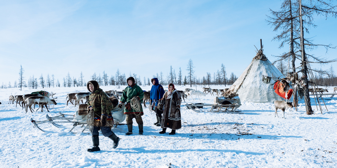 Как живут оленеводы в тундре при −30 °C: 9 решений, которые могут облегчить быт