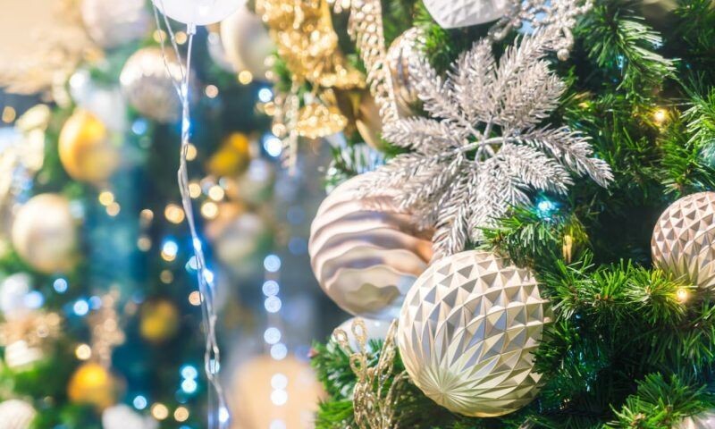    Фото freepik.com