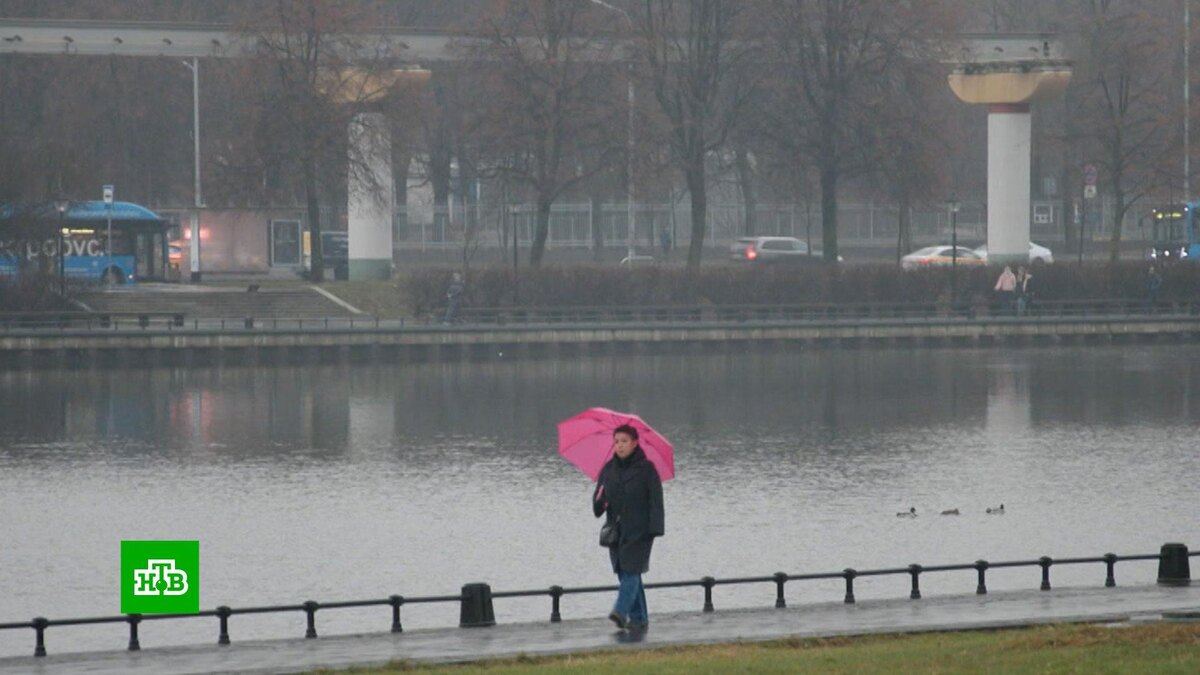    Москвичей призвали пересесть на общественный транспорт    из-за    непогоды