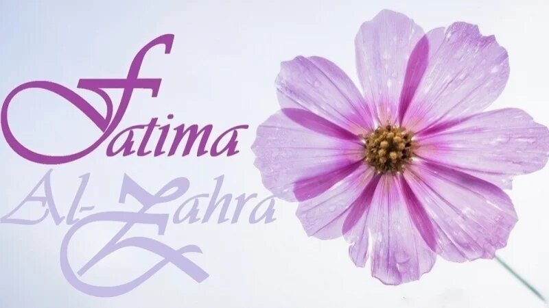 Что вам известно о научном положении дочери Пророка Ислама?
