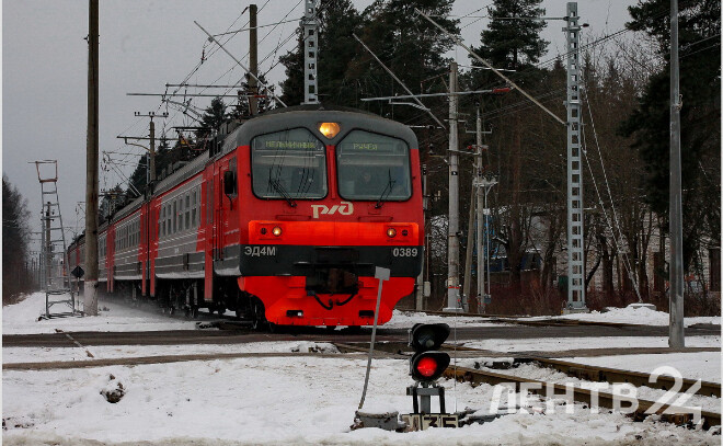    © Анастасия Илюшина / ЛенТВ24, архивное фото