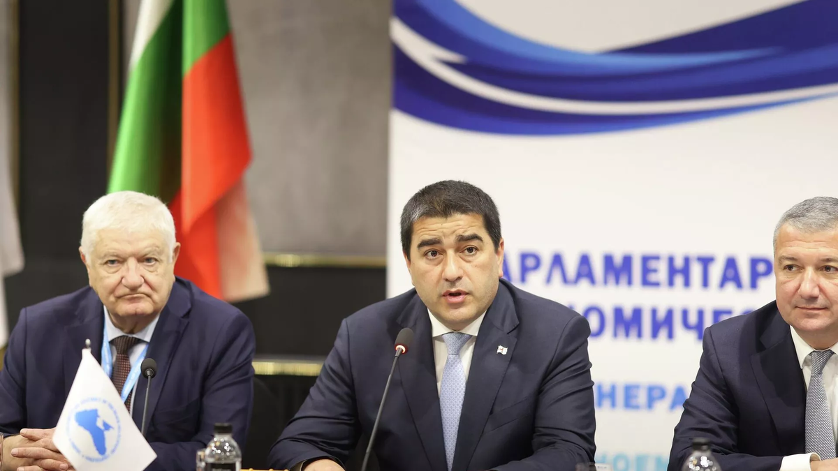 © Courtesy of Shalva Papuashvili