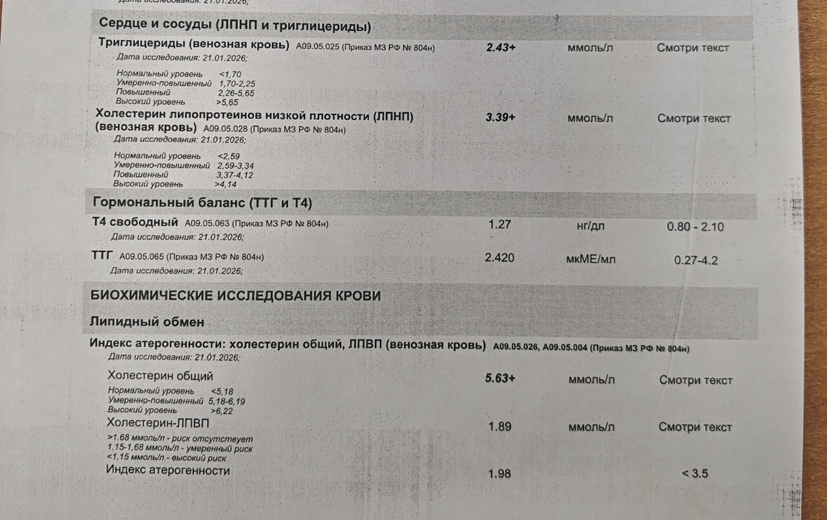 Результаты 