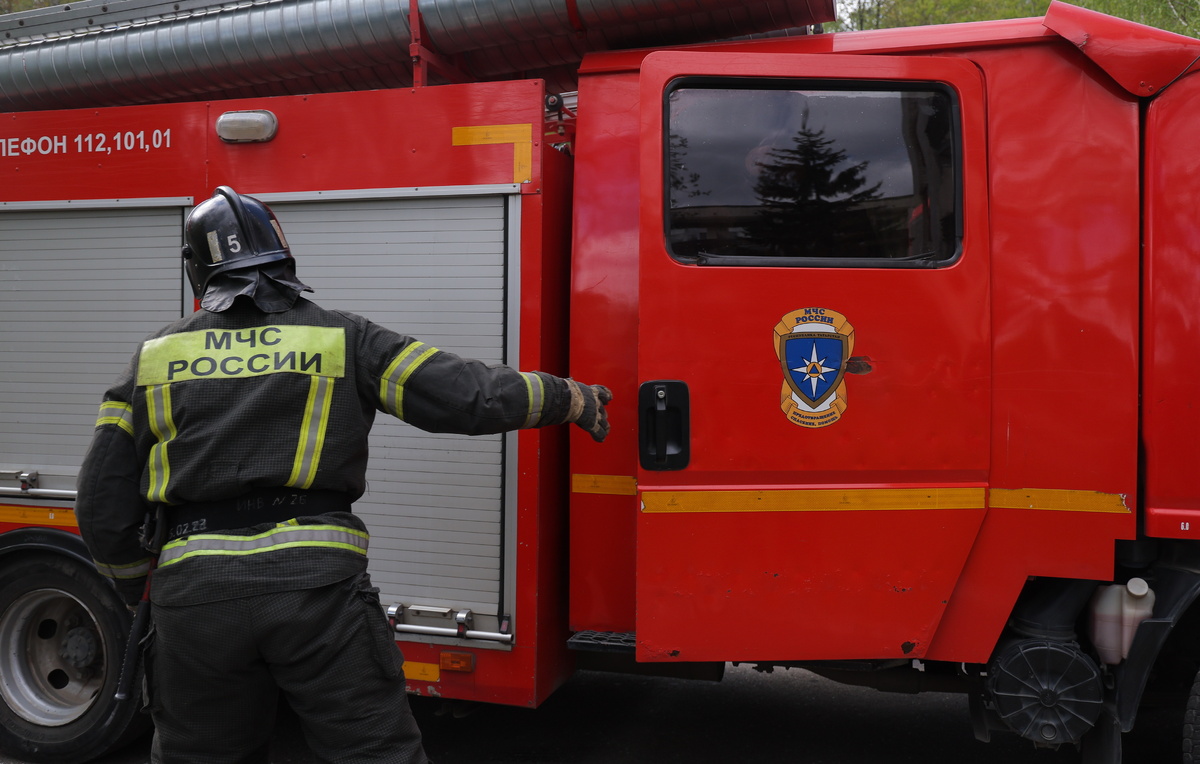 Егор Алеев/ТАСС, архив