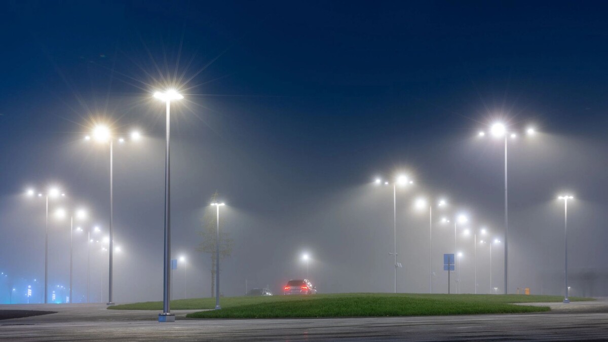    Фото: Федор Воронов / «Ямал-Медиа»