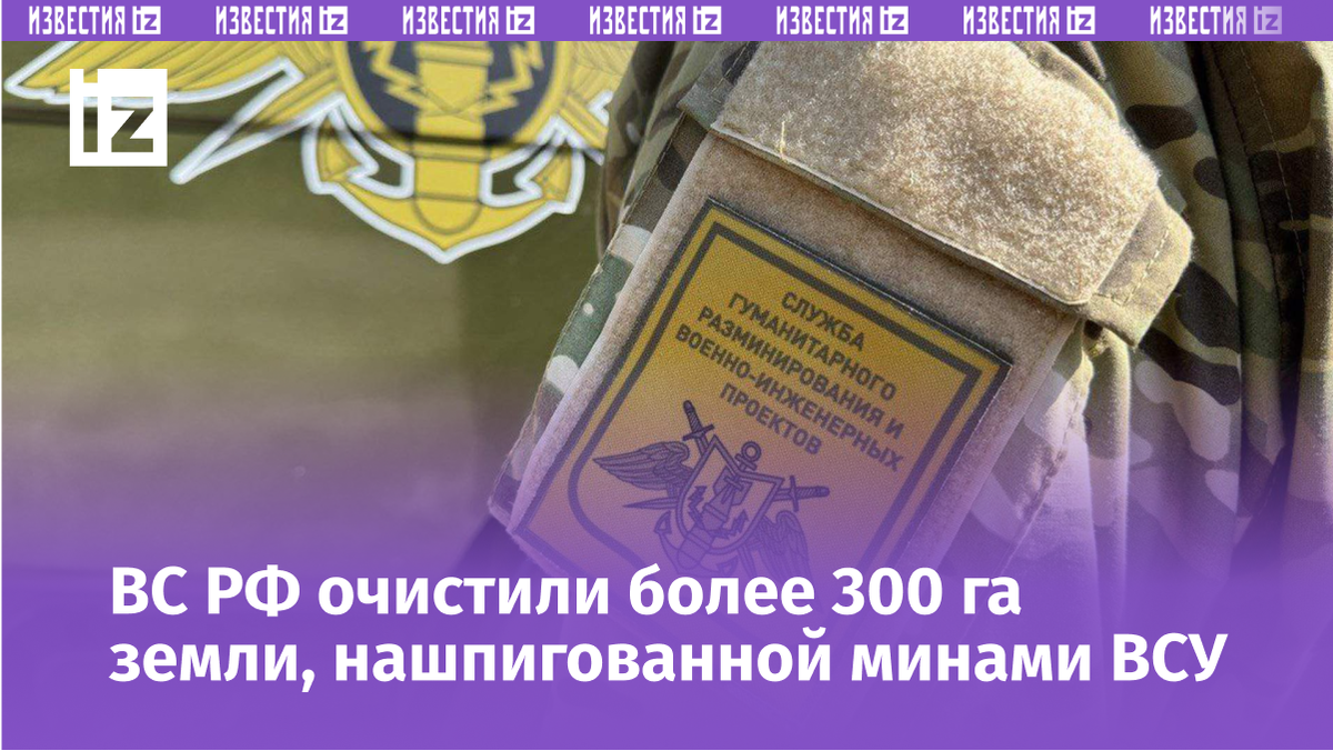 Фото: ИЗВЕСТИЯ/Дмитрий Корнеев