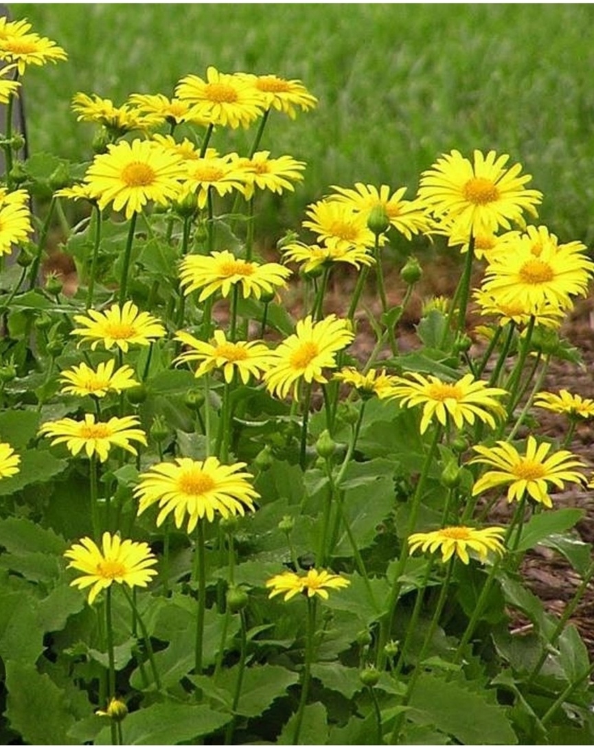 Фото из интернета.